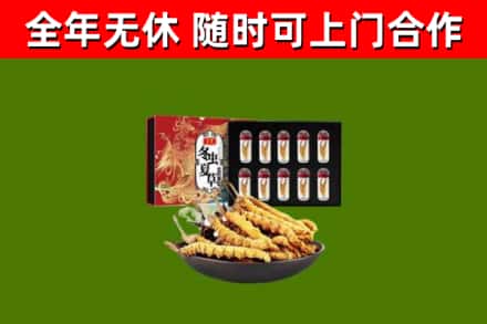 石泉回收冬虫夏草价格
